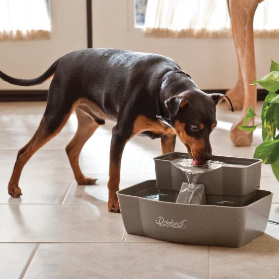 PetSafe Drinkwell 360 Stainless Steel Multi-Pet Dog and Cat Water